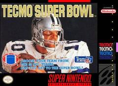 Tecmo Super Bowl - (Loose) (Super Nintendo)