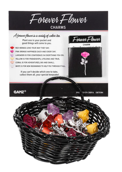 Buy 4 Get 1 FREE Charms